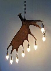 Moose Antler light